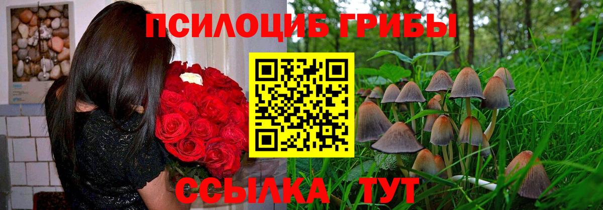 Псилоцибиновые грибы MAGIC MUSHROOMS Видное